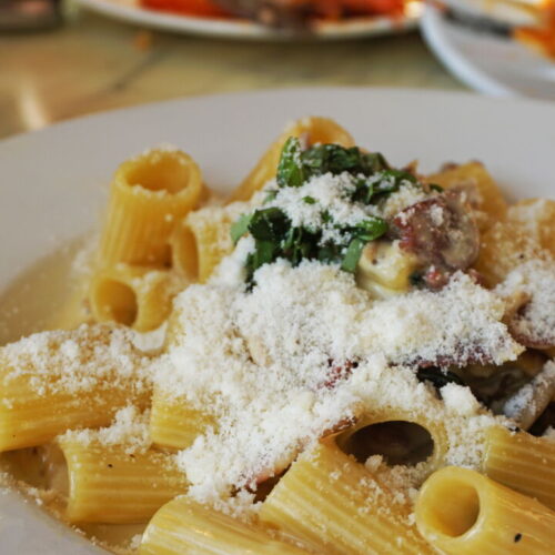 Creamy Parmesan Rigatoni