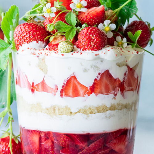 Giant Fraisier-Style Trifle